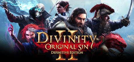 Divinity: Original Sin 2 — Definitive Edition кооперативная игра