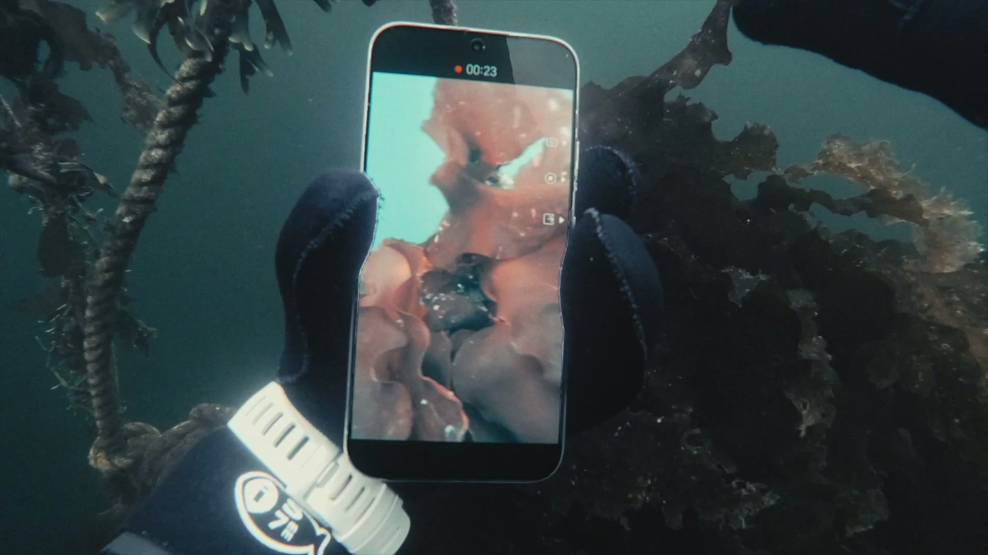 Интерфейс режима съемки «Под водой» на HONOR X9e Pro